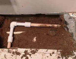 中阳测漏水哪家好