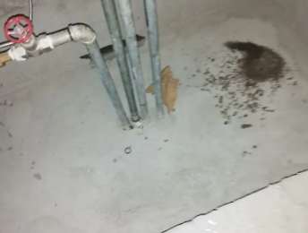 中阳卫生间测漏水价格明细