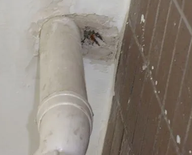 中阳漏水检测哪家好